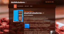 Desktop Screenshot of deshidratadores.cl